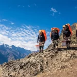 Walk in Jungle Peru: An Unforgettable Adventure Through Nature and Culture