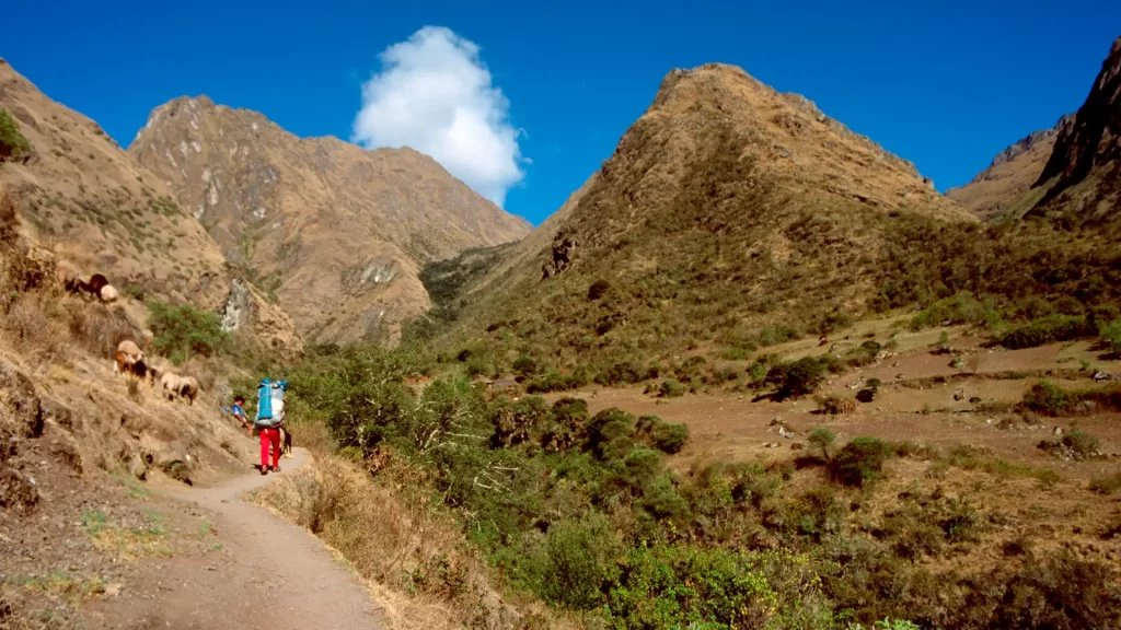 Tour del Camino Inca 4 días y 3 noches en el paso Warmi Wañusqa, mostrando el punto más alto de la ruta, montañas imponentes y senderos desafiantes.
