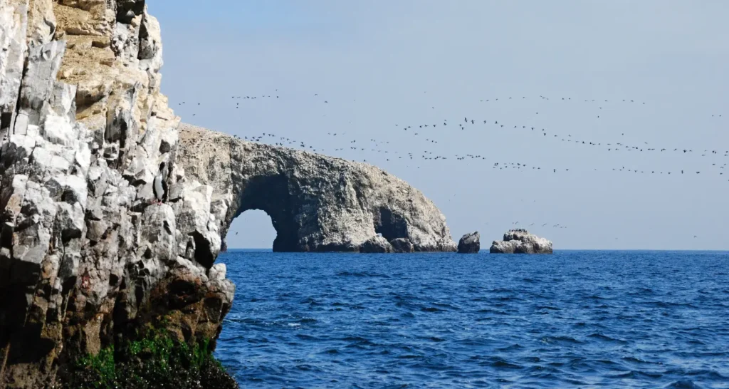 islas ballestas
