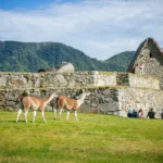 Paquetes a Machu Picchu 7D/6N:Valle Sagrado, Ausangate y Montaña de Colores