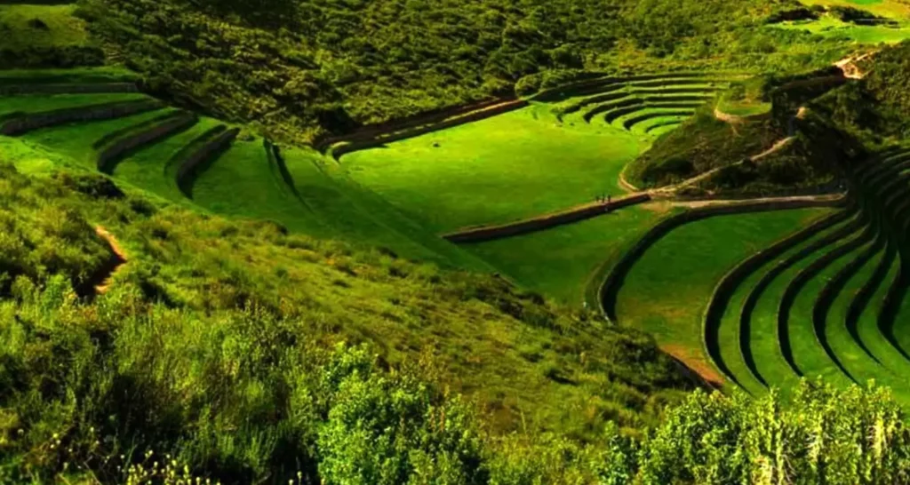 MOray